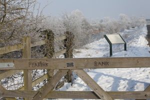 Peakirk bank in the snow