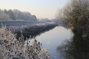 Dyke in the winter with some frost
