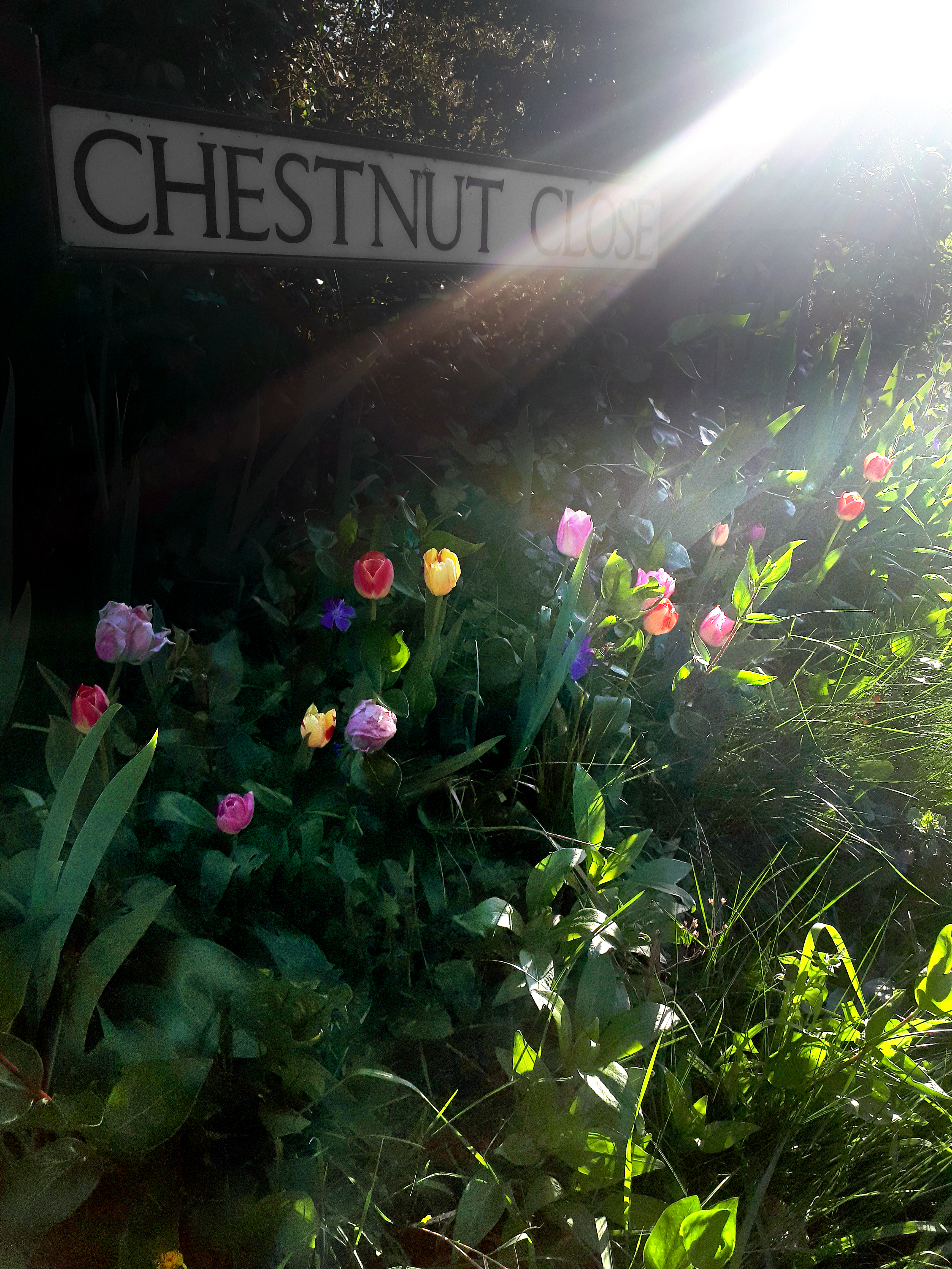 March Parish Council Meeting Agenda